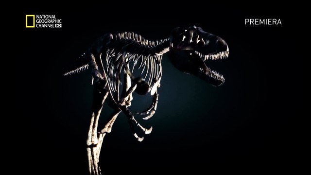 Нанотиранус. Смертельный бой динозавров (2015) HD1080