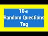 10 5 Random Questions Tag p.2