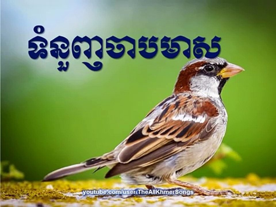 Sin Sisamuth - Tomnuonh Chab Meas - Sin Sisamuth Song
