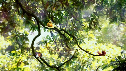 Exploring Space 🌌