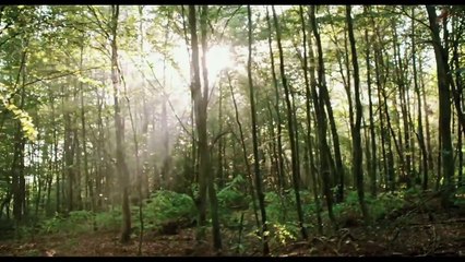 Blair Witch Official International Trailer 1 (2016) - Horror Movie