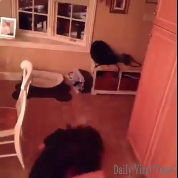 fail girl compilation