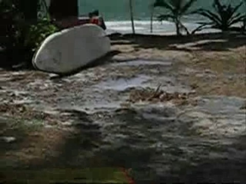 Tsunami Video