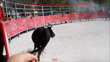 ARLES-Vachettes Arenes portatives-Féria du Riz-2016/09/11