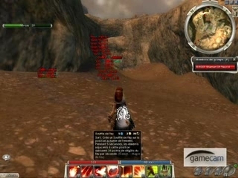 guils wars drop de zelnehlun