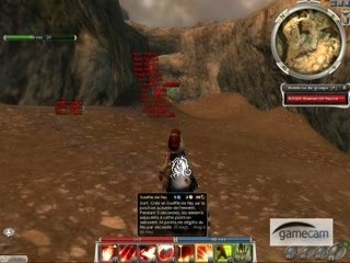 guils wars drop de zelnehlun