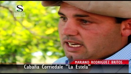 MARIANO RODRÍGUEZ BRITOS - Cabaña Corriedale "La Estela"1-2