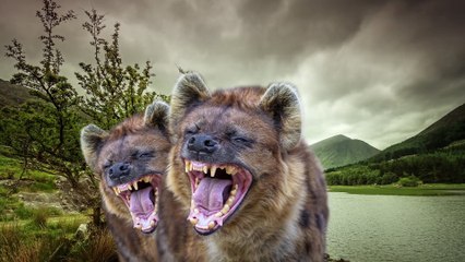 Nouveau site de Stratégies ... Pour mes followers-Communicants Enjoy !