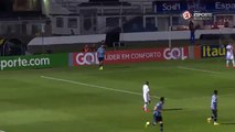 Melhores Momentos - Gols de Ponte Preta 3 x 0 Grêmio - Campeonato Brasileiro (14-09-16)