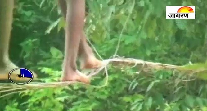 एक जिंदगी ऐसी भी, देखें पूरी खबर ‘60 सेकेंड’ में