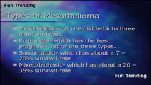 mesothelioma survival rates 2015 - 2016