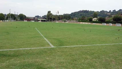 LES HIRONDELLES ENVAHISSENT LE STADE DE ST VERAND