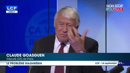 Claude Goasguen crée la polémique en déclarant que la France a ‘’un problème avec les maghrébins’’