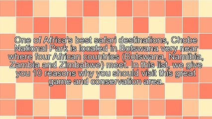 10 Reasons to Visit Chobe National Park
