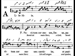 Alleluia Paratum cor meum , Dominica XXVI TpA (26 TO)