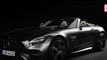 VÍDEO: Primeras imágenes del Mercedes-AMG GT C Roadster en acción