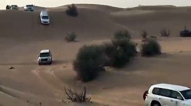 Dune bashing in Desert safari dubai tours