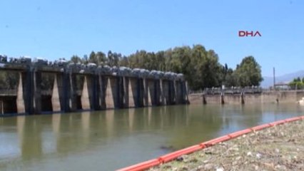 Söke Büyük Menderes Artık Kirletmeyecek