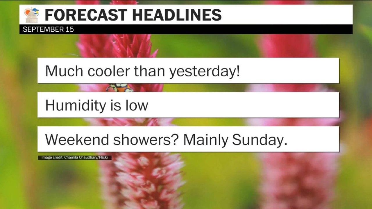 Much cooler than yesterday