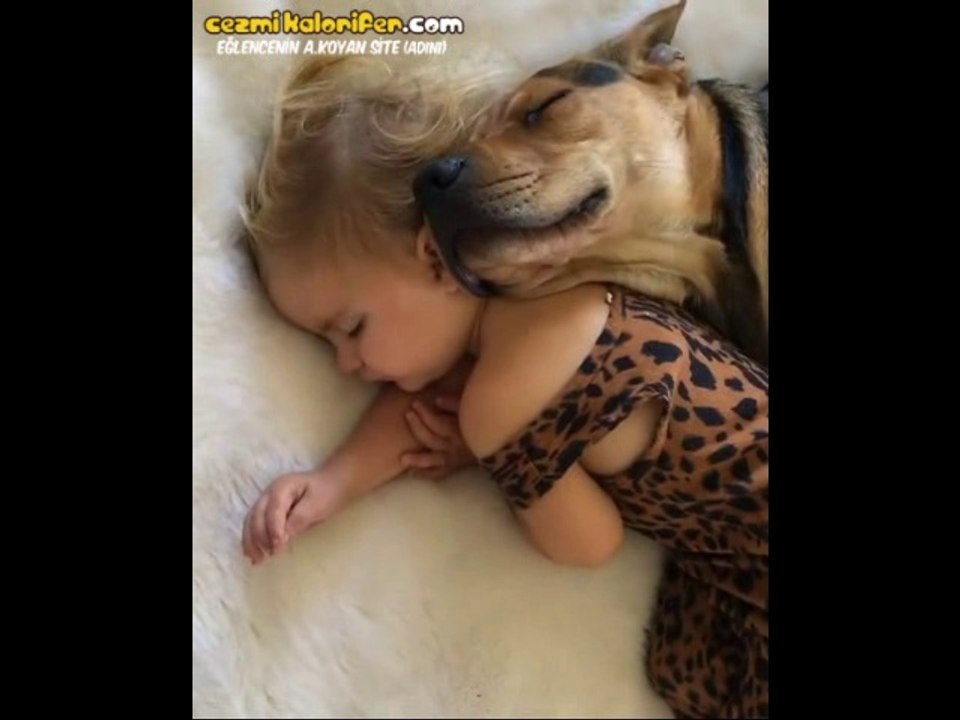 Pek Tatlı Uyuyan İkili