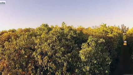 TOP FAILS JUNE vol.1 ★ BEST FUNNY VIDEOS ★ Epic FAIL Compilation 2016