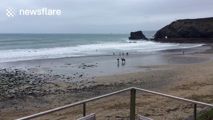 Horse throws off rider because it doesn't like the sea