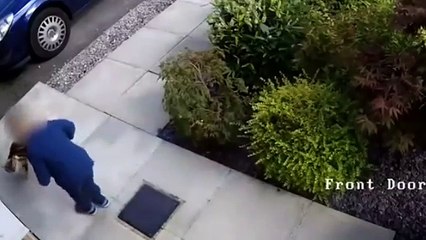 Cet enfant martyrise ce chat mais les choses vont rapidement se gâter pour lui !