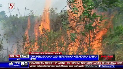 Download Video: Polda Riau Tetapkan 2 Perusahaan Jadi Tersangka Kebakaran Hutan