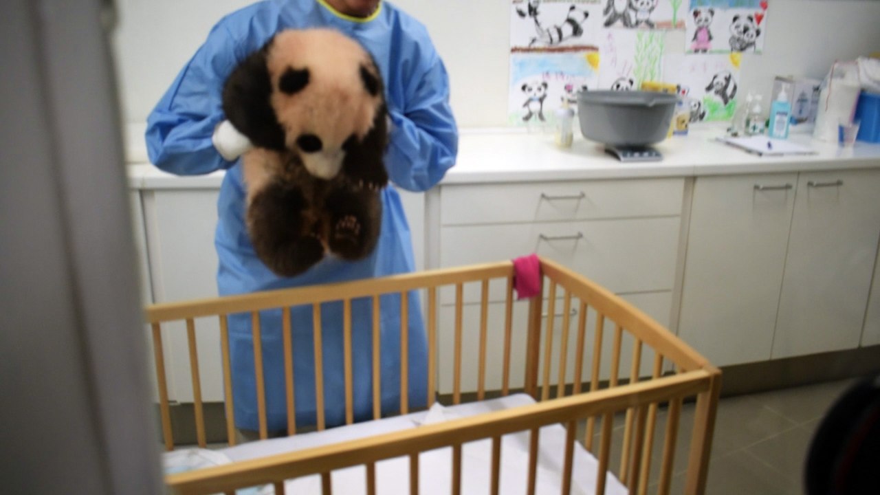 Ne l'appelez plus "Baby P"