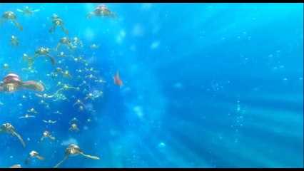 Le monde de Némo : les tortues - la classe totale