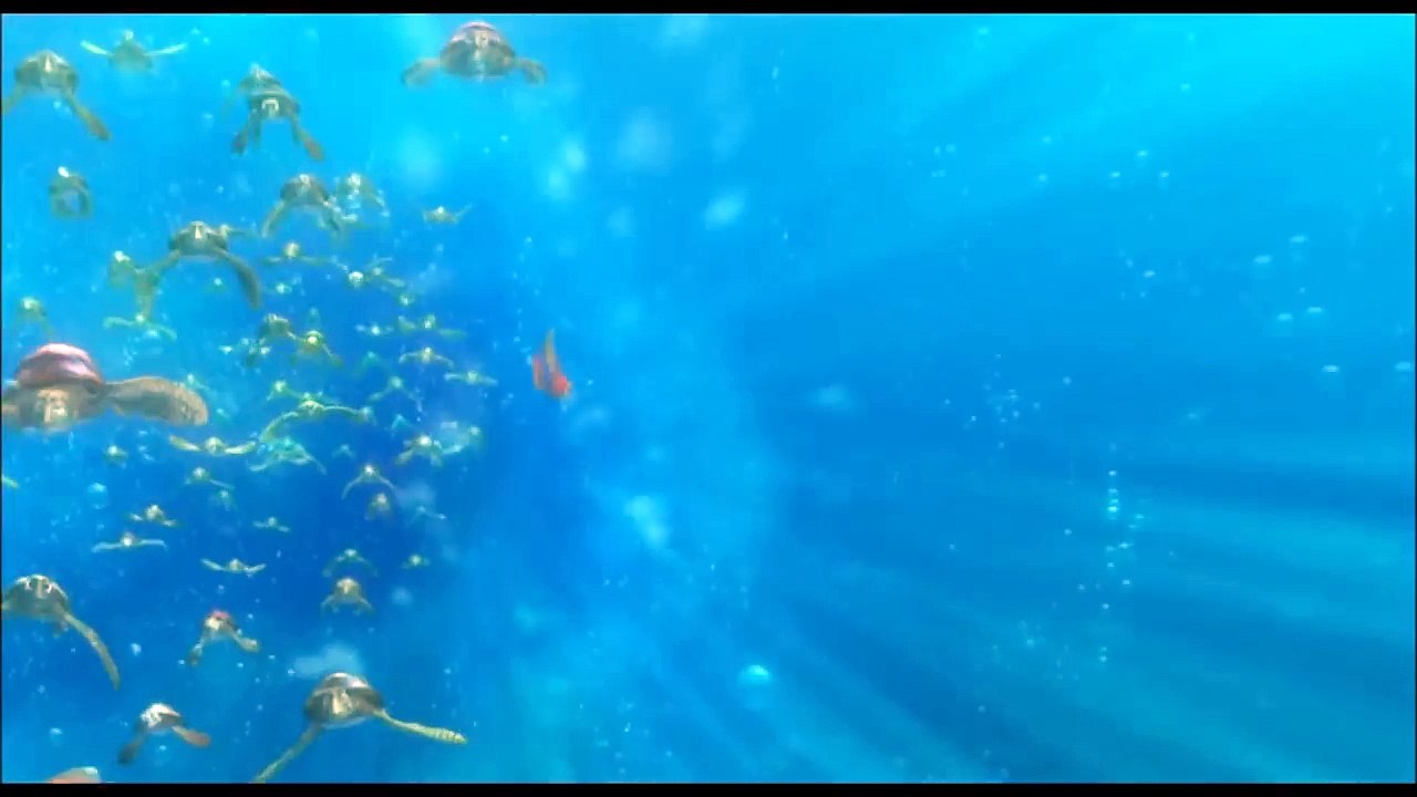 Le monde de Némo : les tortues - la classe totale