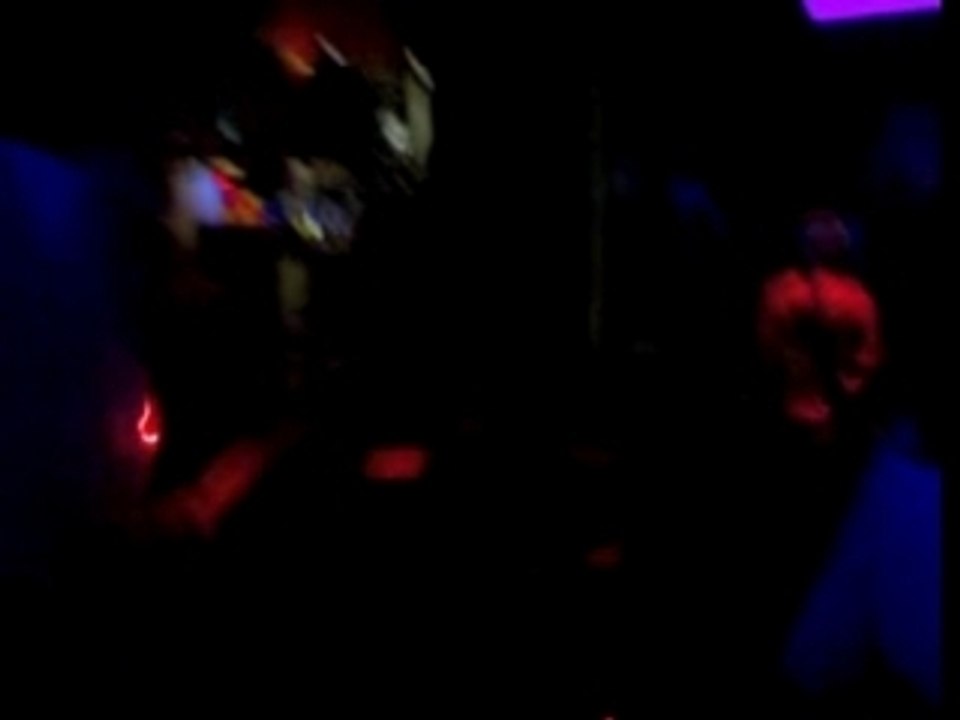 La tortue @ purple