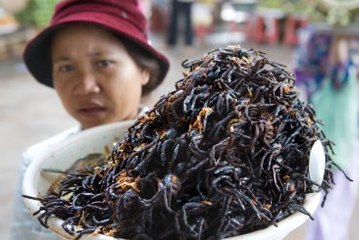 Tarantula İstilasına Karşı Mide Bulandırıcı Çözüm