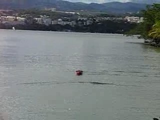modélisme boat zen 22cc