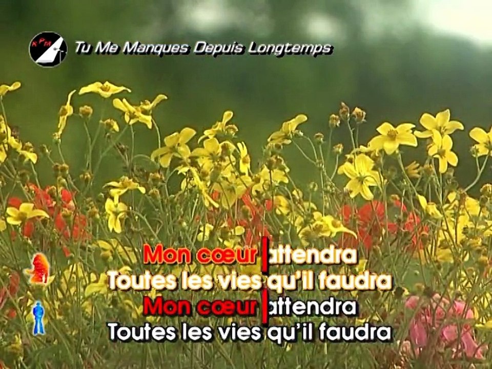 Tu Me Manques Depuis Longtemps Karaoké - Sonia Lacen & Sébastien Lorca*