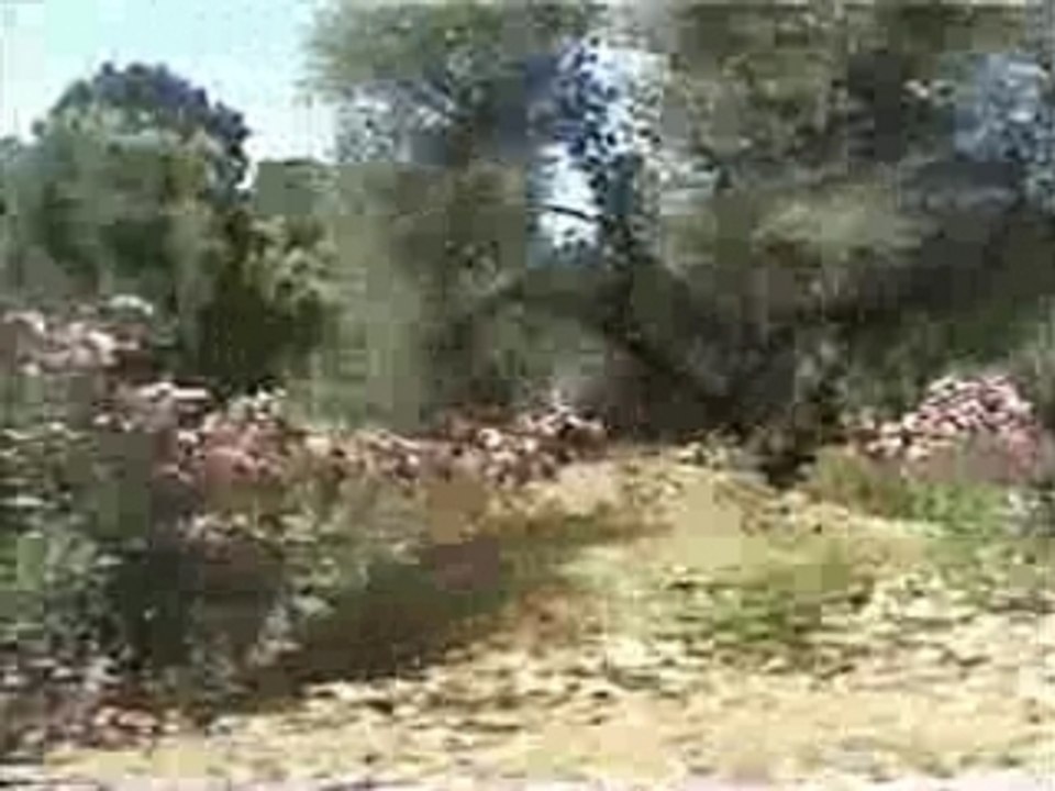 Route de tamanar