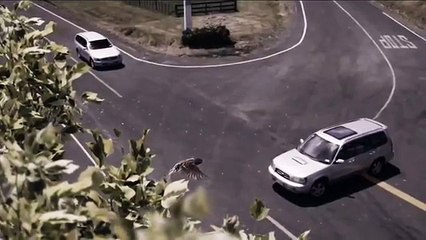 Gran Reflexión (Un verdadero ejemplo)