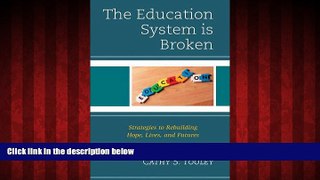 For you The Education System is Broken: Strategies to Rebuilding Hope, Lives, and Futures