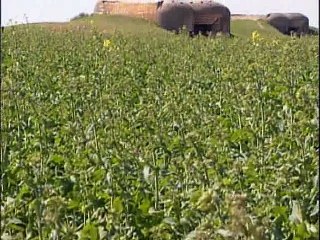 Secrets de guerre 12-13 - Les mensonges du jour J