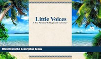 Big Deals  Little Voices : A True Paranoid Schizophrenic Adventure  Best Seller Books Best Seller