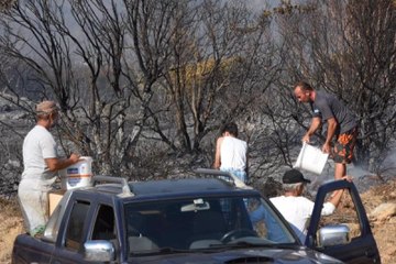 İzmir'de Makilik Alanda Yangın Çıktı! Piknikçi Aile Yangına Müdahale Etti