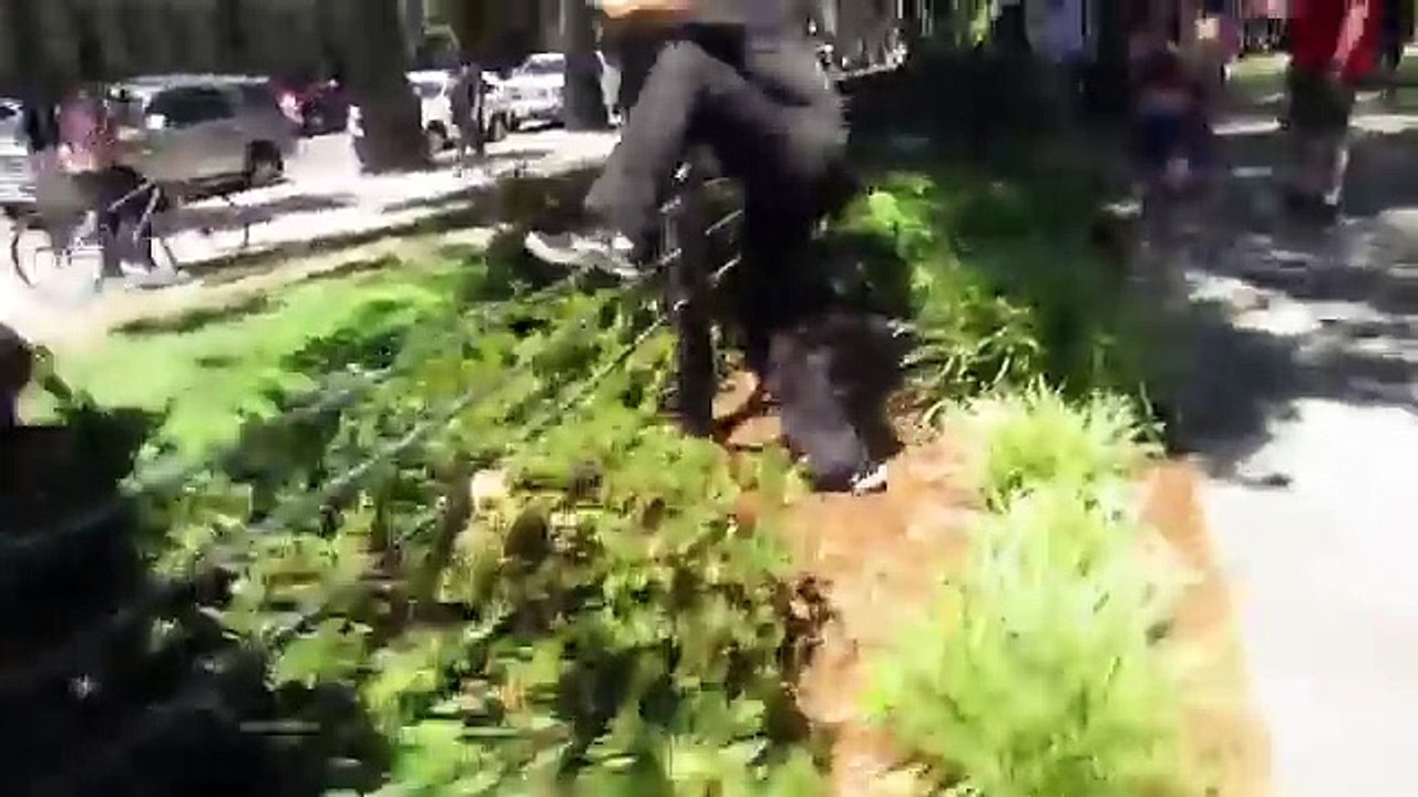 Amateur Footage Of Violent Protestors At The Sacramento Capitol