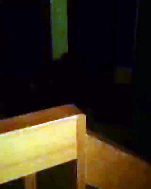 Bear Breaks Into House...