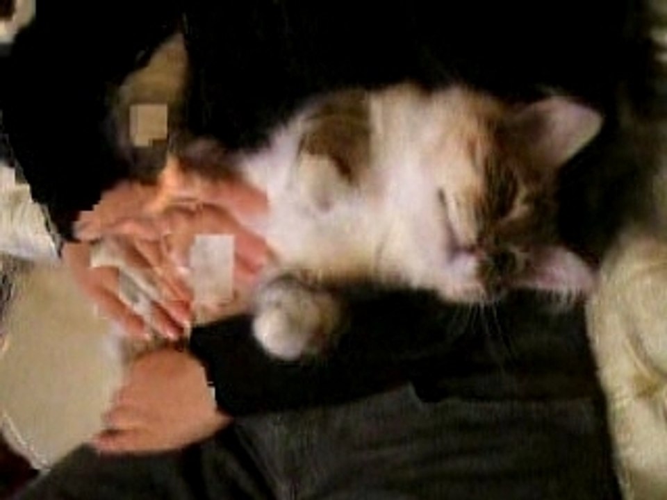 Gros calin n°2