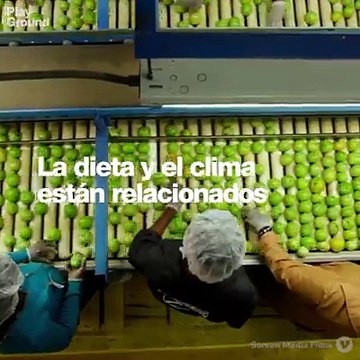 Si eliges carne en vez de vegetales no sólo afecta a tu salud sino también al mundo entero!