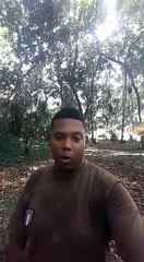 #ChiensErrants : en Guyane, ils s'attaquent aux œufs des tortues - LTOM