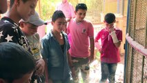 اطفال حلب يستغلون الهدنة لزيارة القرد 