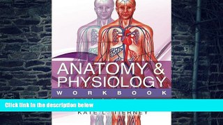 Big Deals  Anatomy   Physiology: 1,160 Multiple Choice Questions  Free Full Read Best Seller