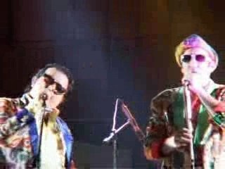 Tafano broders "salviamo la foca"