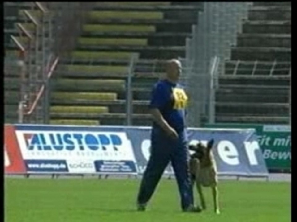 Devil vom Greifenring - Belgier WM 2005 UO